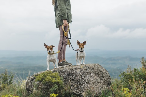 Woman walking with her two dogs stock photo