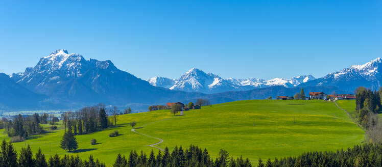 Deutschland, Bayern, Alpenvorland bei Roßhaupten mit Schloss Neuschwanstein und Saeuling im Hintergrund - WGF01089