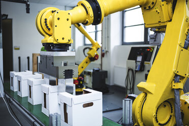 Industrial robot at work - WESTF23456