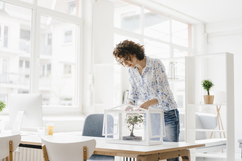 Businesswoman in office taking care of bonsai tree stock photo