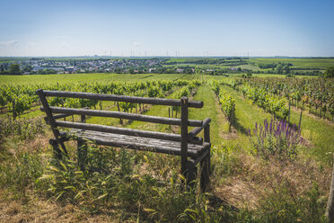 Deutschland, Westhofen, Weinberge mit Bank im Vordergrund - KEBF00570