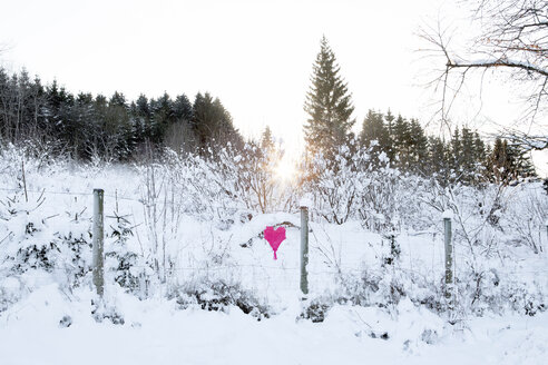 Woven heart at fence in winter landscape - PSTF00044
