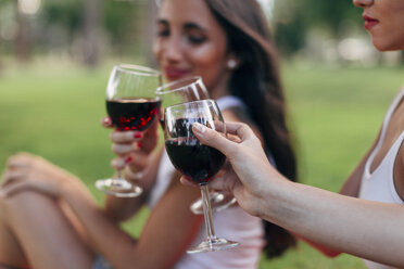 Friends in a park clinking red wine glasses - JPF00220