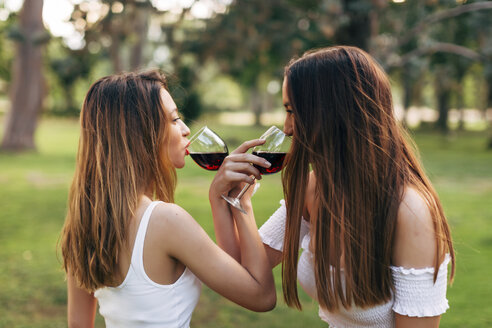 Zwei Frauen in einem Park, die von Angesicht zu Angesicht Rotwein trinken - JPF00230