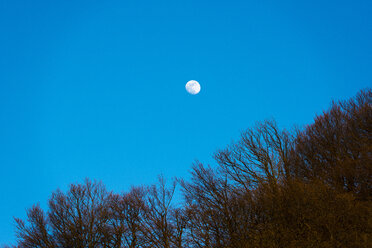 Moon against blue sky - LOMF00577