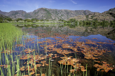 Spanien, Kastilien-León, Provinz Zamora, Naturschutzgebiet Lago de Sanabria - DSGF01680