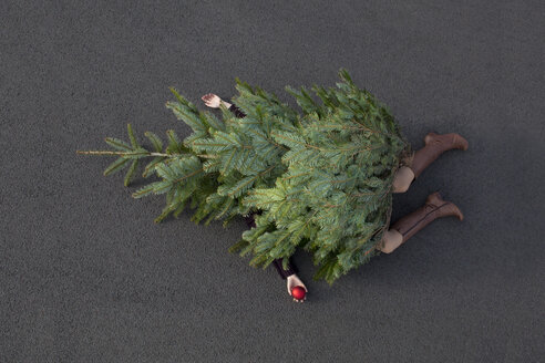 Woman lying buried under Christmas tree - PSTF00057