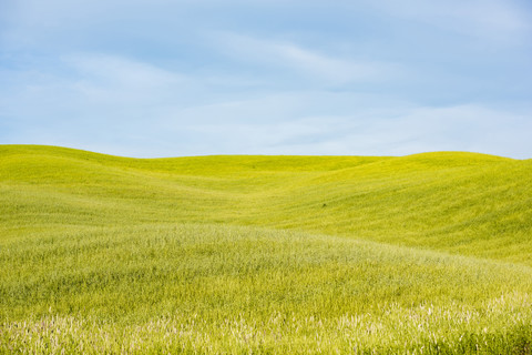 Italy, Tuscany, Val d'Orcia, field landscape stock photo