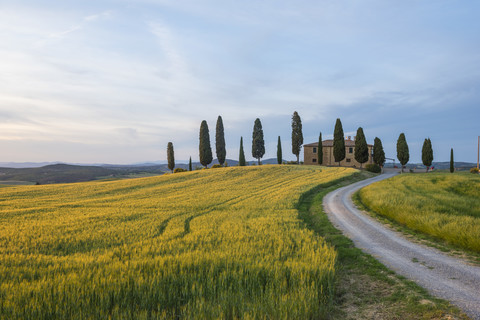 Italien, Toskana, Val d'Orcia, Bauernhaus bei Sonnenuntergang, lizenzfreies Stockfoto