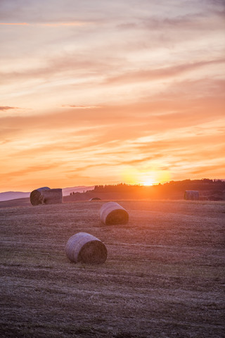 Italy, Tuscany, Val d'Orcia, straw bales on field at sunset stock photo