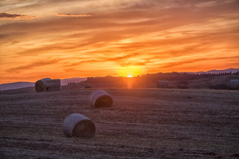 Italy, Tuscany, Val d'Orcia, straw bales on field at sunset - LOMF00593