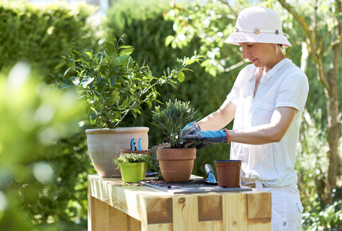 Frau pflanzt Oleander am Tisch im Garten ein - DIKF00243