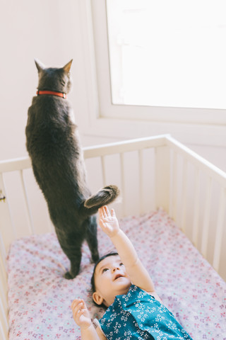 Baby-Mädchen in der Krippe liegend versucht, den Schwanz einer Katze zu erreichen, lizenzfreies Stockfoto