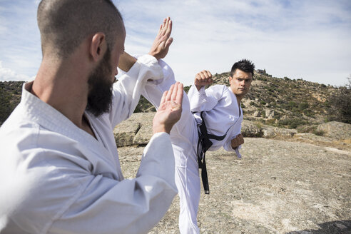 Man doing a high kick during a martial arts combat - ABZF02111