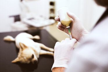 Vet preparing an injection for a dog in clinic - HAPF01695