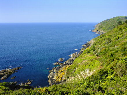 UK, England, Cornwall, Polperro - SIEF07442