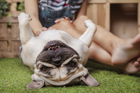 Woman petting her dog on the terrace stock photo