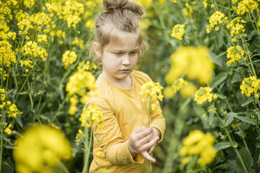 Girl examining plant in rape field - MOEF00007