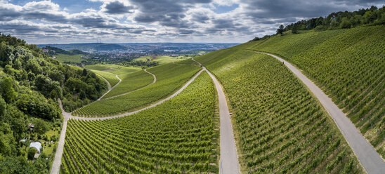 Deutschland, Stuttgart, Luftaufnahme der Weinberge am Kappelberg - STSF01242