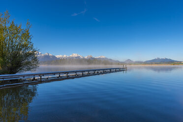 Germany, Bavaria, Allgaeu, Lake Hopfensee in the morning - WGF01096