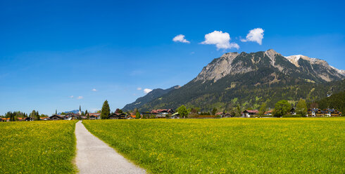 Deutschland, Bayern, Allgäu, Lorettowiesen und Oberstdorf - WGF01100