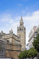 Spanien, Andalusien, Sevilla, Kathedrale und Torre Giralda - HLF01013