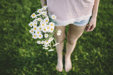 Woman holding bunch of daisies, partial view - GIOF02833