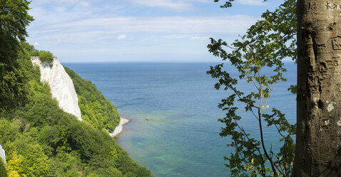 Deutschland, Rügen, Nationalpark Jasmund, Kreidefelsen Koenigsstuhl - FRF00525