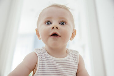 Portrait of curious baby boy - MFF03687