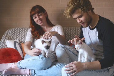 Junges Paar mit Kätzchen auf der Couch zu Hause - RTBF00969