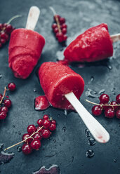 Homemade currant popsicles and red currants on slate - IPF00397