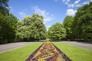 Polen, Warschau, Sächsischer Garten im Frühling, Rasen mit Blumenbeet, Alleen und Bäumen - ABOF00222