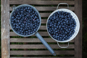 Sieb und Kochtopf mit Heidelbeeren auf dem Gartentisch - EVGF03236