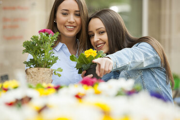 Freundinnen wählen Topfpflanzen am Blumenstand aus - CHAF01888