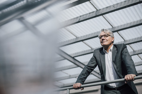 Senior businessman standing at railing stock photo