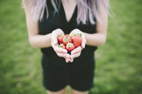 Woman's hand holding strawberries - GIOF02908