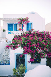 Griechenland, Santorini, Oia, schönes griechisches Haus mit einer rosa Bougainvillea - GEMF01728