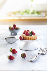 Törtchen mit Puddingfüllung und Erdbeeren - SBDF03234