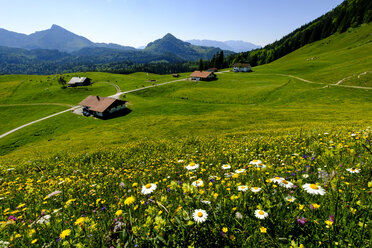 Germany, Bavaria, Samergerg, Daffnerwaldalm under the Heuberg mountain - LBF01614