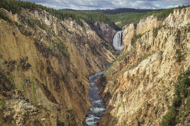 USA, Wyoming, Yellowstone-Nationalpark, Grand Canyon mit Lower Yellowstone Falls - EPF00447