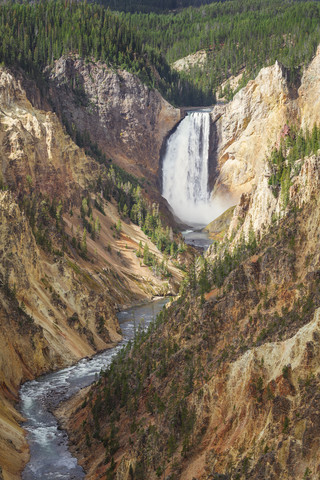 USA, Wyoming, Yellowstone-Nationalpark, Grand Canyon mit Lower Yellowstone Falls, lizenzfreies Stockfoto