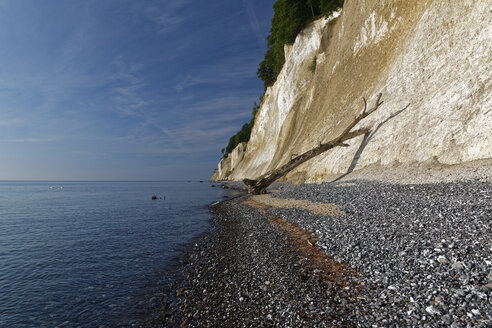 Deutschland, Mecklenburg-Vorpommern, Nationalpark Jasmund, Kreideküste an der Ostsee - GFF01000