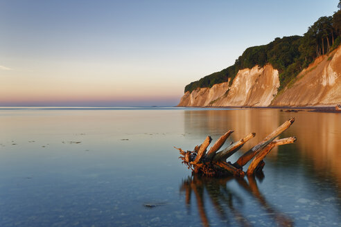 Deutschland, Mecklenburg-Vorpommern, Nationalpark Jasmund, Kreideküste an der Ostsee - GFF01004