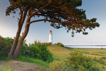 Germany, Mecklenburg-Western Pomerania, Hiddensee, Dornbusch lighthouse on the Schluckswiek - GFF01008