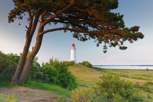 Germany, Mecklenburg-Western Pomerania, Hiddensee, Dornbusch lighthouse on the Schluckswiek - GFF01008