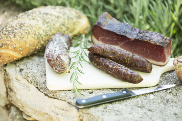 Smoked speck, salami and kaminwurzen sausages on a chopping board - MAEF12314
