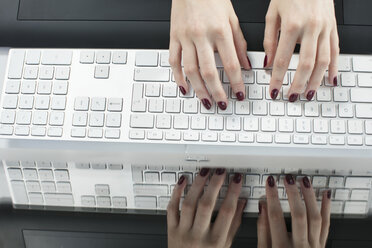 Weibliche Hände beim Tippen auf einer Tastatur - ZEF14092