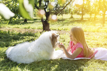 Mädchen liegend mit Hund auf Wiese - SHKF00763