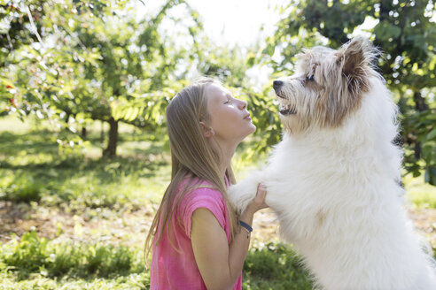 Mädchen spielt mit Hund auf Wiese - SHKF00769