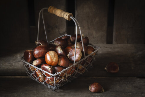 Sweet chestnuts in wire basket - EVGF03238